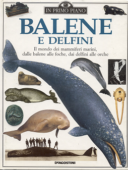balene-delfini